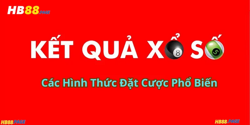 Các Hình Thức Đặt Cược Phổ Biến