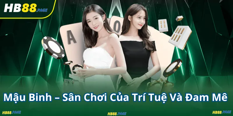 Mậu Binh – Sân Chơi Của Trí Tuệ Và Đam Mê