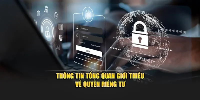 Quy Định Bản Quyền HB88 Là Gì?
